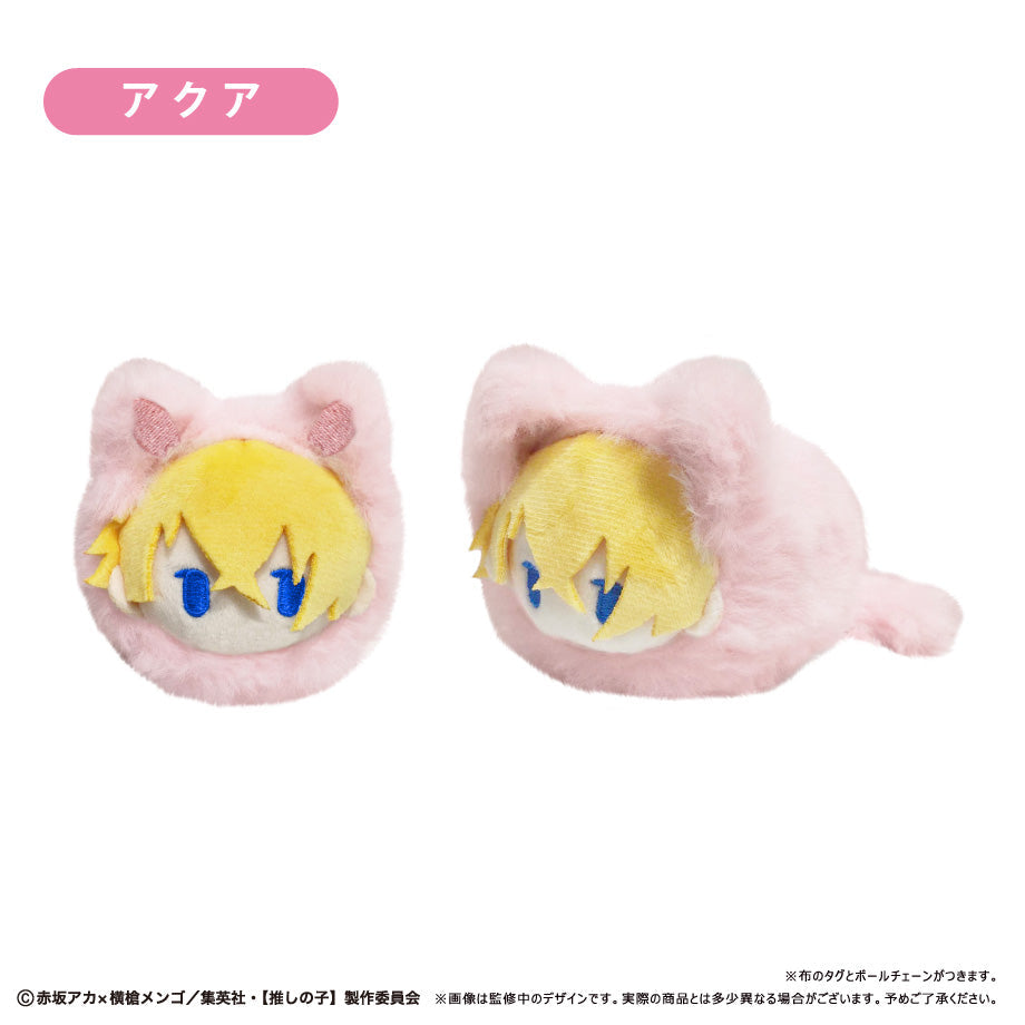 Tapioca Spring Nyanko Tapinui Oshi no Ko 6set BOX Plush JAPAN OFFICIAL