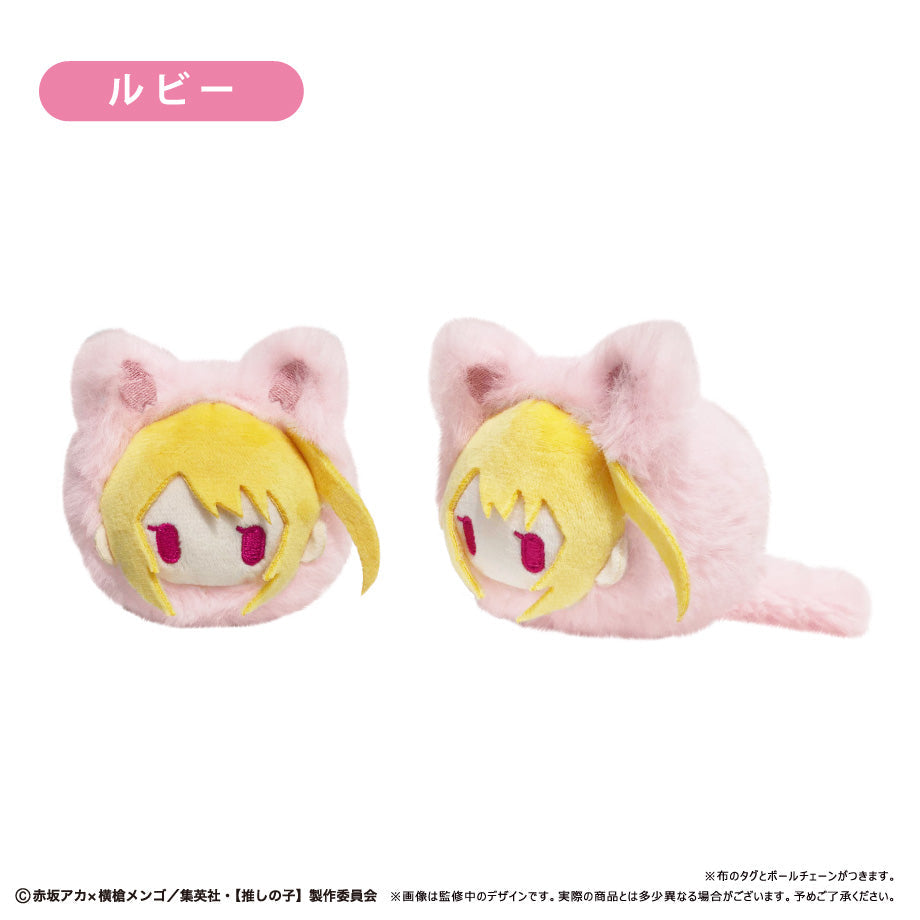 Tapioca Spring Nyanko Tapinui Oshi no Ko 6set BOX Plush JAPAN OFFICIAL