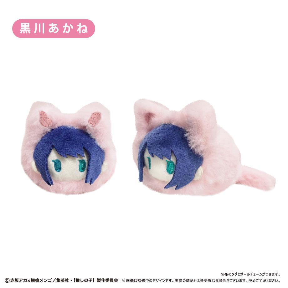 Tapioca Spring Nyanko Tapinui Oshi no Ko 6set BOX Plush JAPAN OFFICIAL