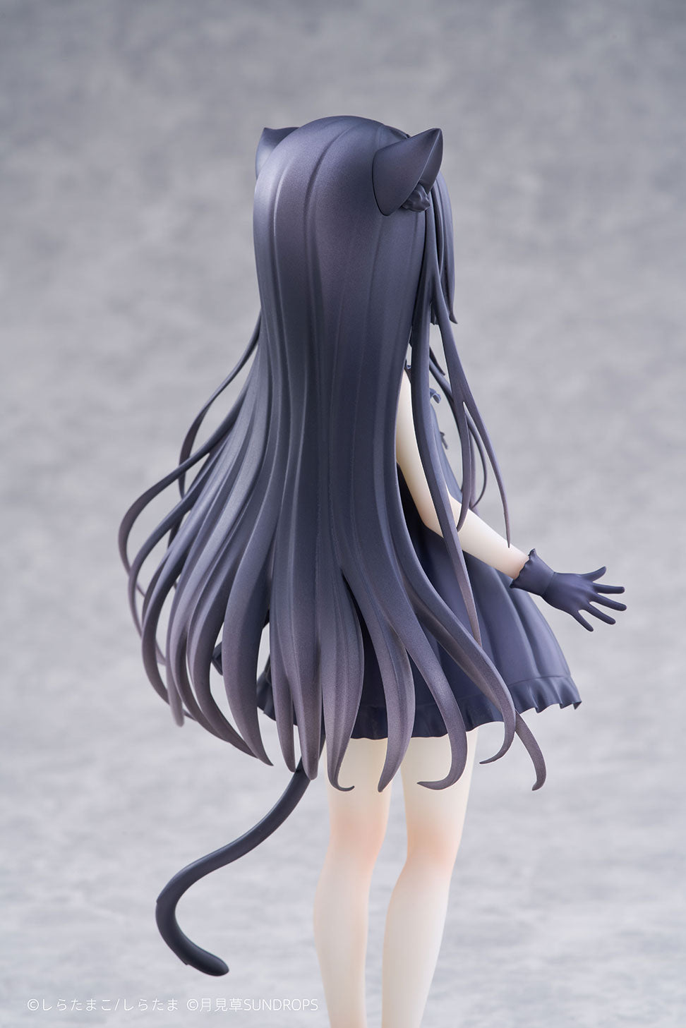 SUNDROPS Hoshizora Tetsudou to Shiro no Tabi Noir 1/7 Figure JAPAN OFFICIAL
