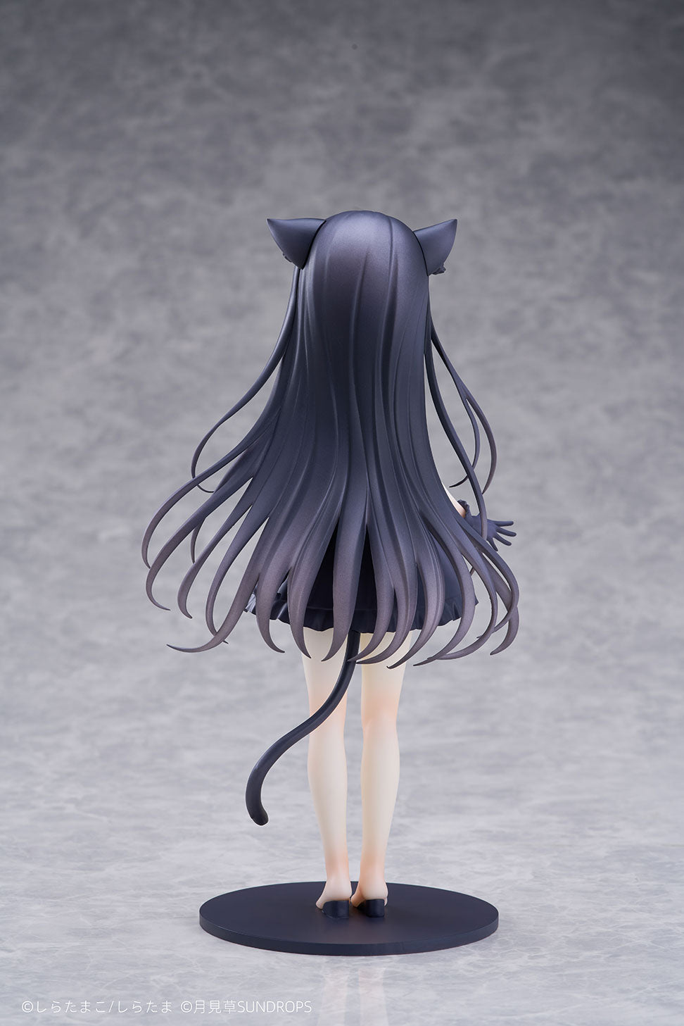 SUNDROPS Hoshizora Tetsudou to Shiro no Tabi Noir 1/7 Figure JAPAN OFFICIAL