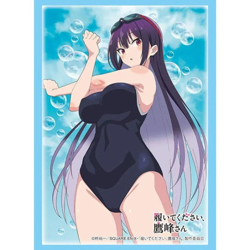 Sleeve Collection HG Please Put Them On, Takamine-san Takane Takamine Vol.4838
