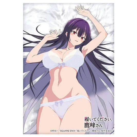 Sleeve Collection HG Please Put Them On, Takamine-san Takane Takamine Vol.4837